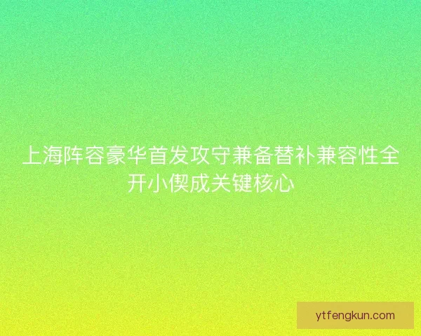 上海阵容豪华首发攻守兼备替补兼容性全开小偰成关键核心